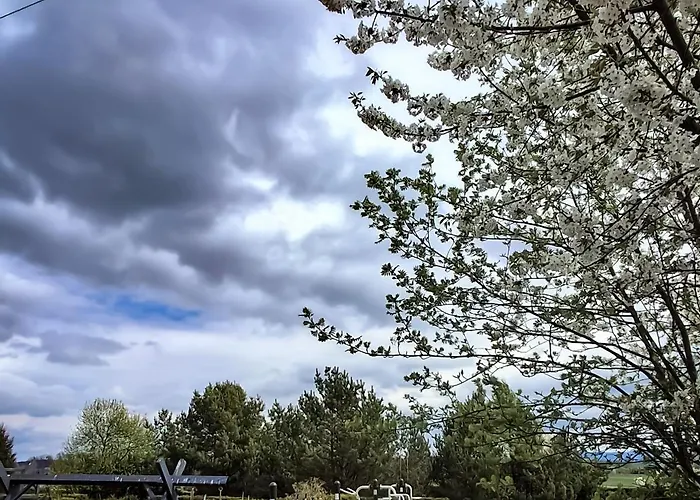 U Tarnawy * Bad Altheide